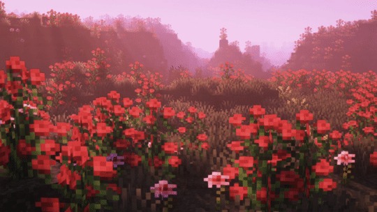 A dreamy field of red roses under a soft pink sky